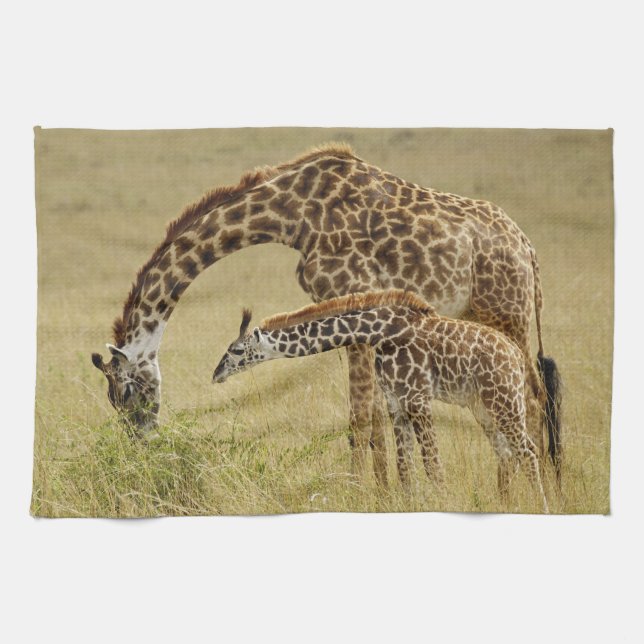 Mother and baby Masai Giraffe, Giraffa Tea Towel (Horizontal)