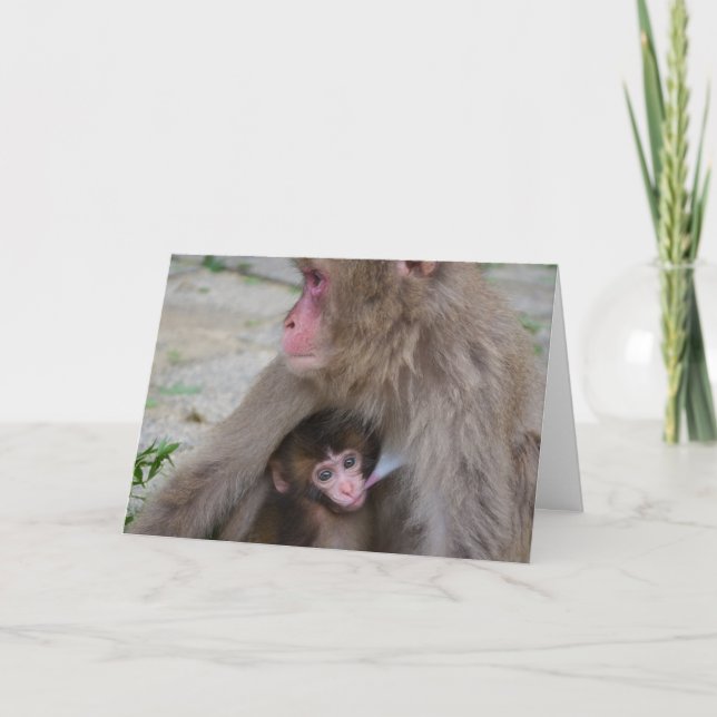 Mother And Baby Monkey Mother's Day Card (Front)