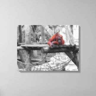 Mother and Baby Orangutan Canvas Print