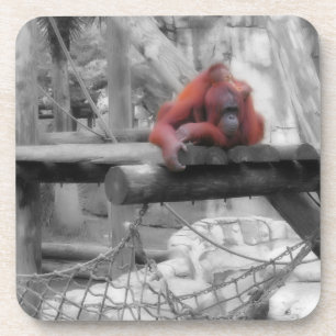 Mother and Baby Orangutan Coaster