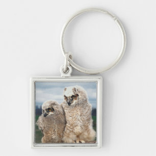 Mother and Baby Owl Key Ring