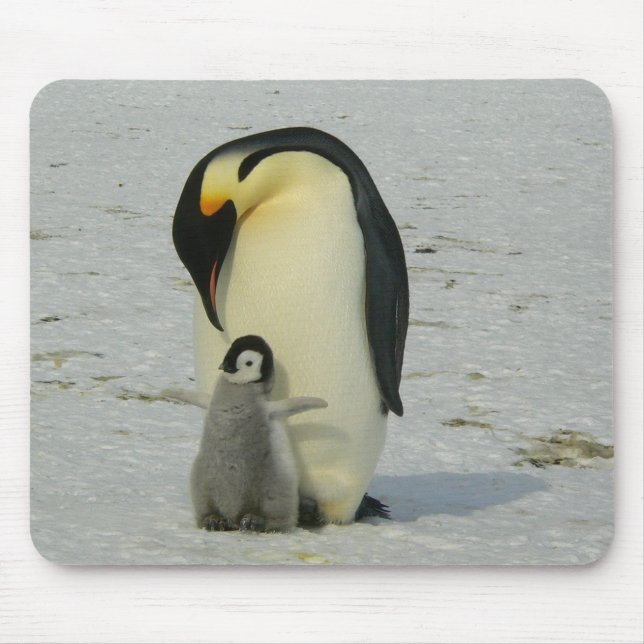 Mother and Baby Penguin Mouse Mat (Front)