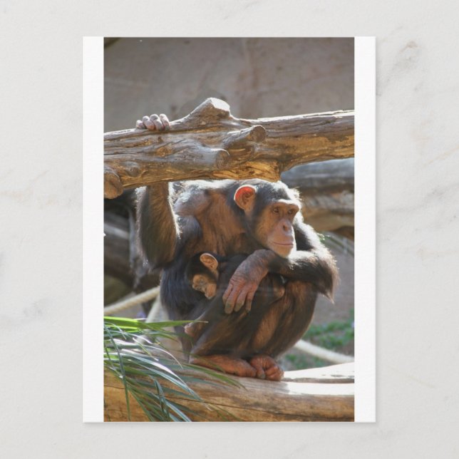 Mother and Baby Postcard (Front)