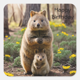 Mother And Baby Quokka, Birthday Stickers