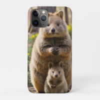 Mother And Baby Quokka,