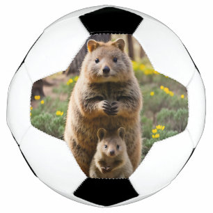 Mother And Baby Quokka, Soccer Ball