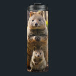 Mother And Baby Quokka, Thermal Tumbler<br><div class="desc">Pictured is a mother Quokka with her baby</div>