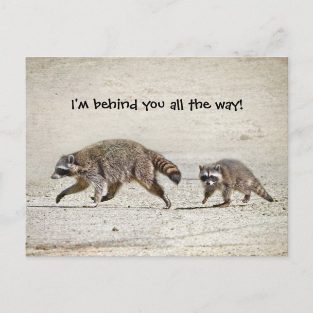 Mother and Baby Racoon Postcard (Front)