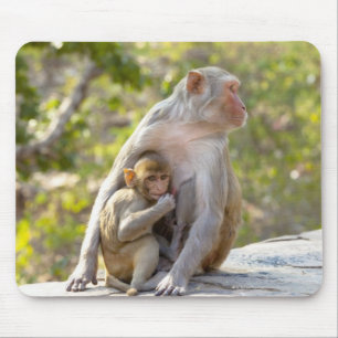 Mother and baby Rhesus Macaque monkeys on wall Mouse Mat