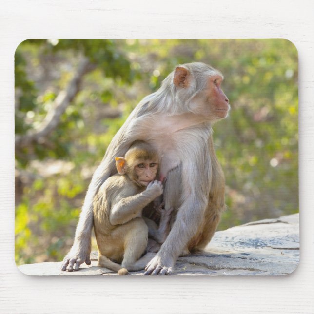 Mother and baby Rhesus Macaque monkeys on wall Mouse Mat (Front)
