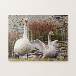 Mother and Baby Swan Wildlife Cute Jigsaw Puzzle