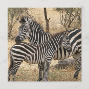 Mother and Baby Zebra  Invitations
