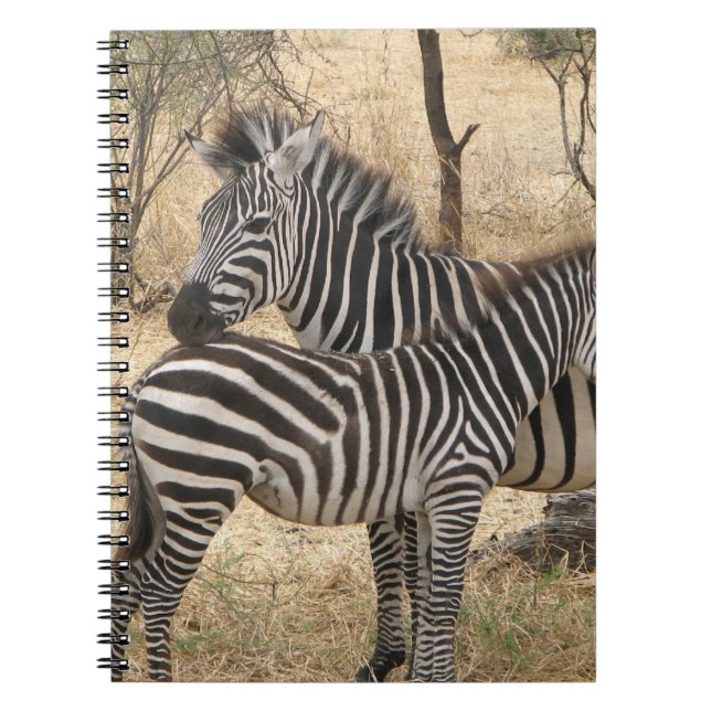 Mother and Baby Zebra  Notebook (Front)