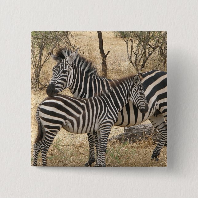 Mother and Baby Zebra  Pin (Front)