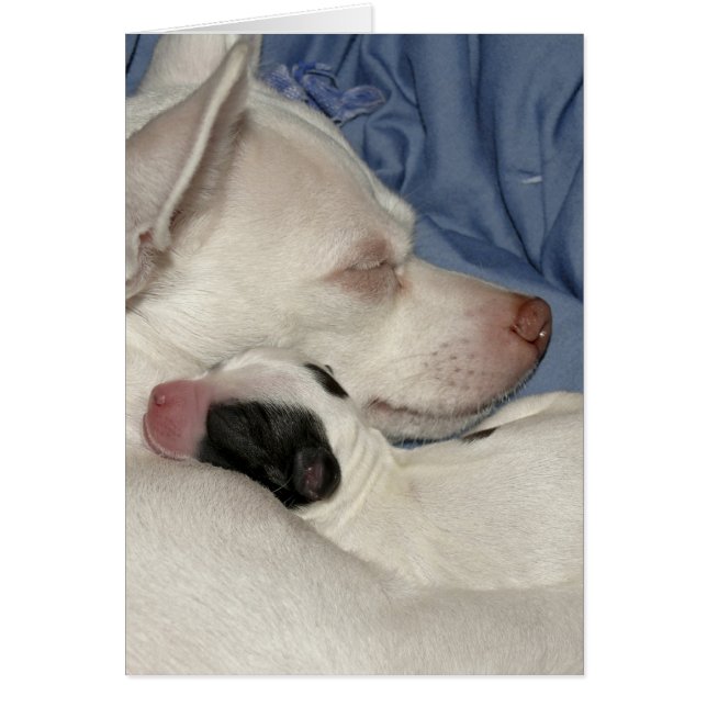 Mother and Child (Front)