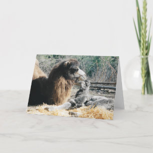 Mother and Child Card