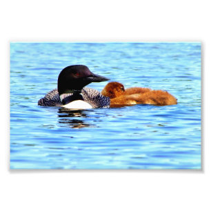 Mother and Child II Photo Print