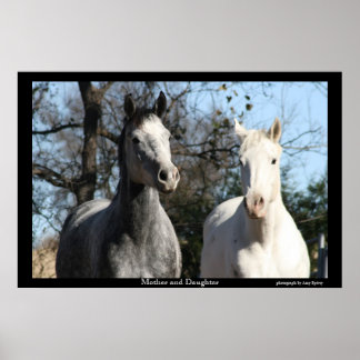 Mother and Daughter Poster