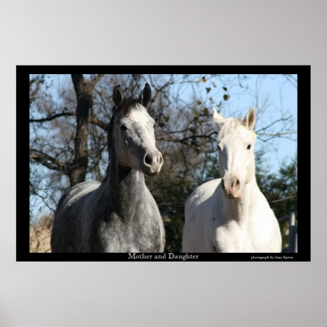 Mother and Daughter Poster (Front)