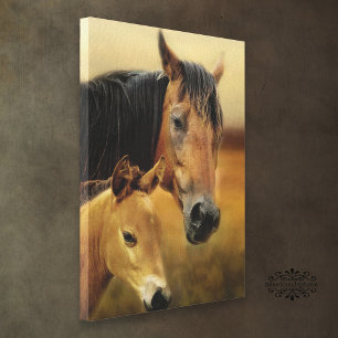 Mother and Foal Canvas Print