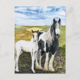 Mother and Foal Postcard