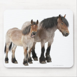 Mother and foal smiling, Belgian horse, Belgian Mouse Mat