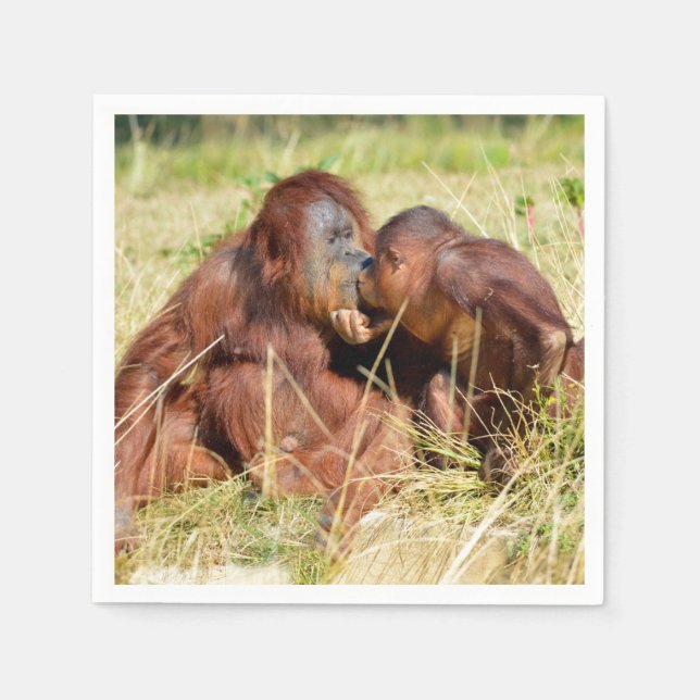 Mother and juvenile orangoutans (Pongo pygmaeus)  Napkin (Front)