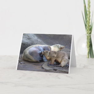 Mother and Nursing Pup NoteCard