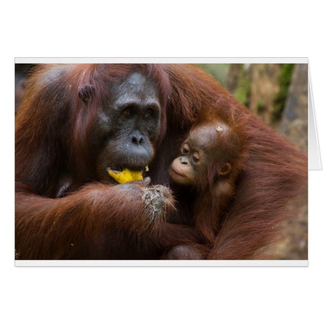 Mother and son (Front Horizontal)