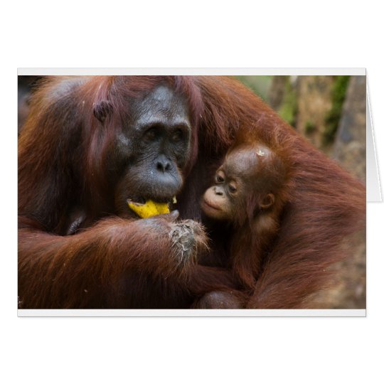 Mother and son card