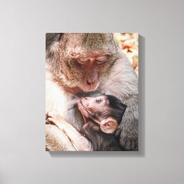 Mother & Baby Monkey Canvas Print (Front)