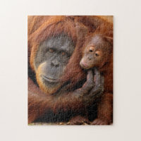 Mother & Baby Orangutan
