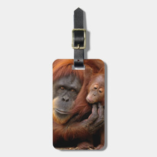 Mother & Baby Orangutan Luggage Tag