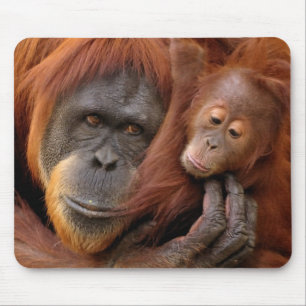 Mother & Baby Orangutan Mouse Mat