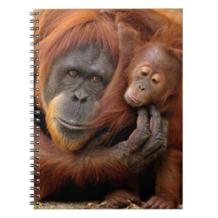 Mother & Baby Orangutan Notebook