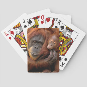 Mother & Baby Orangutan Playing Cards