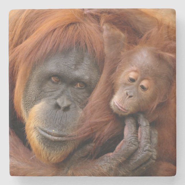 Mother & Baby Orangutan Stone Coaster (Front)