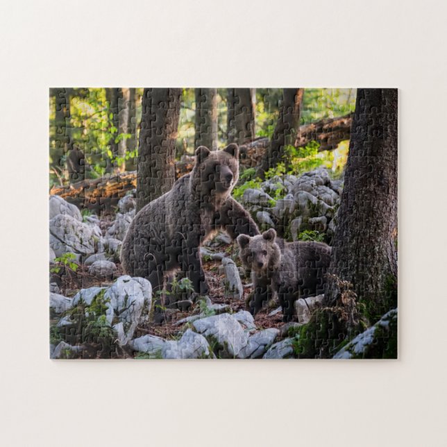 Mother Bear And Cub Slovenia Jigsaw Puzzle (Horizontal)