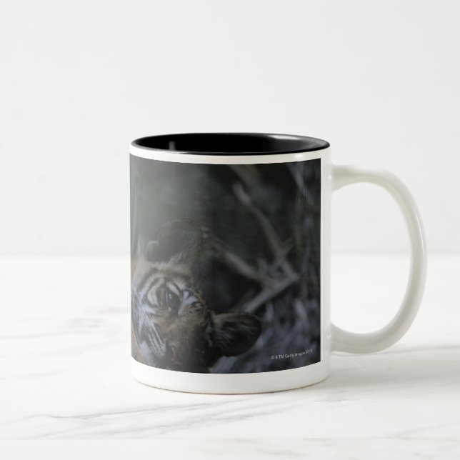 Mother Bengal Tiger with Cub Two-Tone Coffee Mug (Right)
