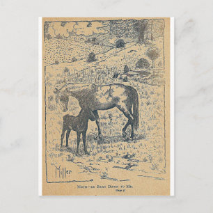 Mother Bent DownTo Me Black Beauty Postcard