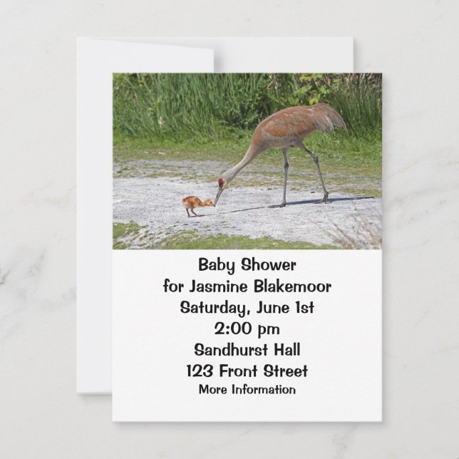 Mother Bird and Baby Bird Sandhill Cranes Invitation (Front)