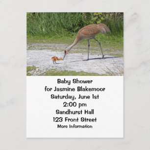 Mother Bird and Baby Bird Sandhill Cranes Invitation