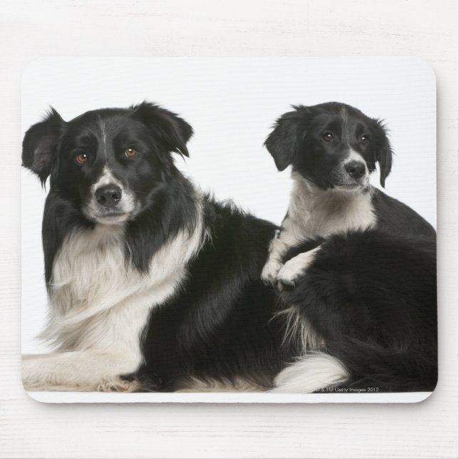 Mother border collie and puppy mouse mat (Front)