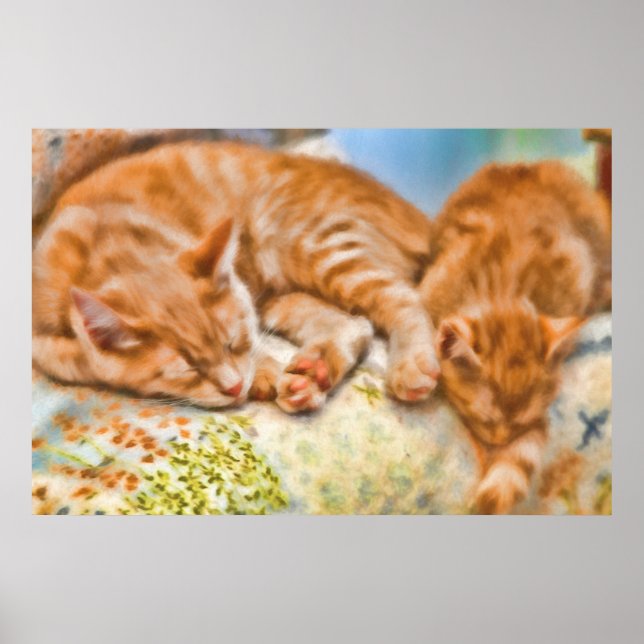 MOTHER CAT KITTEN NAP POSTER (Front)