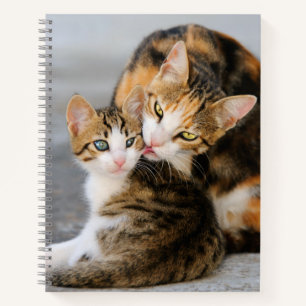 Mother Cat Loves Cute Baby Kitten Animal Pet Photo Notebook
