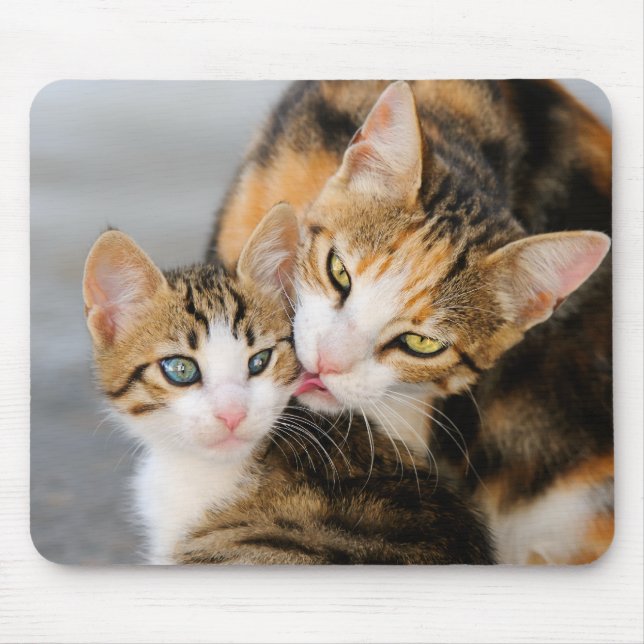 Mother cat loves cute kitten mouse mat (Front)