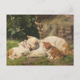 Mother Cat with Kittens   Julius Adam the Younger Postcard