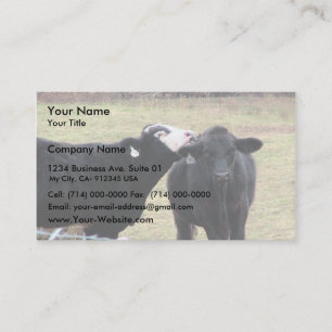 Mother Cows Licking Her Infant Business Card