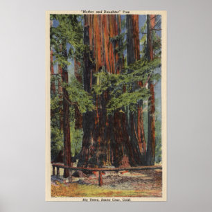 "Mother" & "Daughter" at Big Trees Park Poster