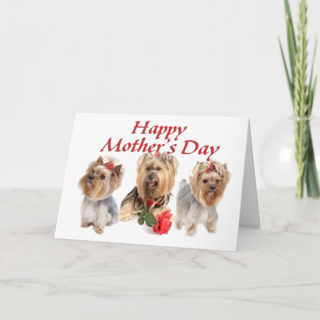 Mother  Day Yorkies Card (Front)